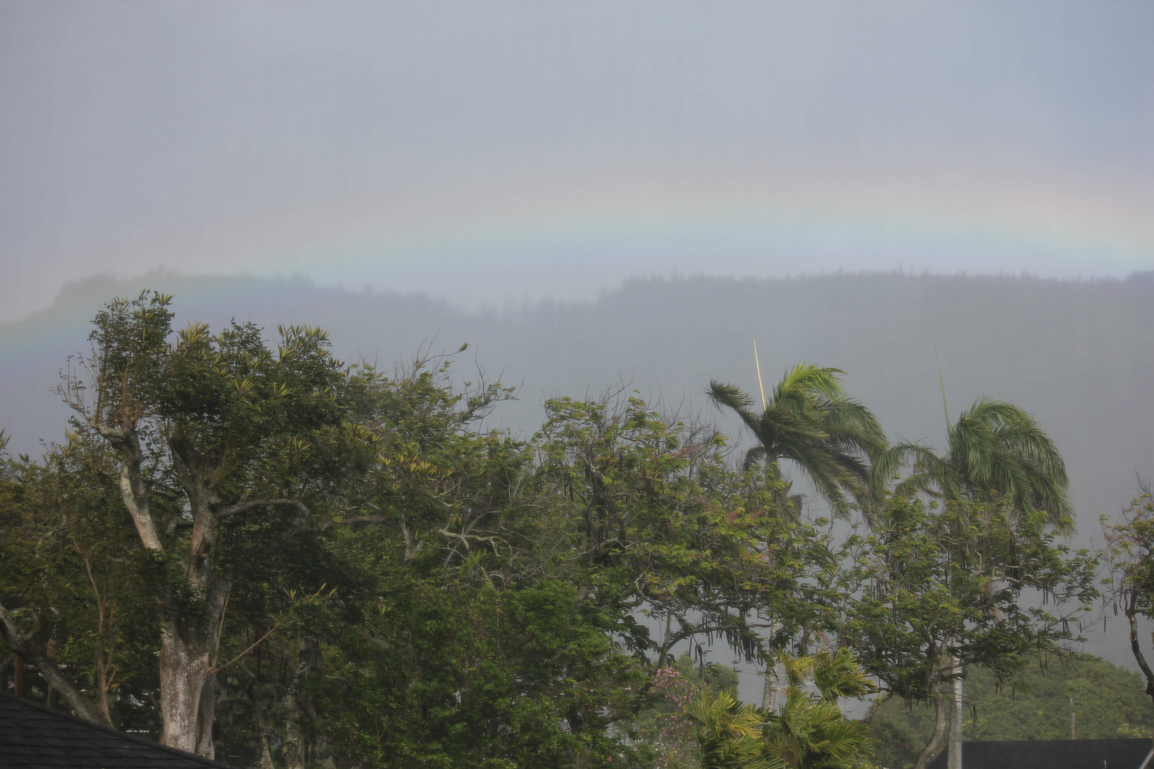 Rainbow over misty Hawaii mountains with palm trees