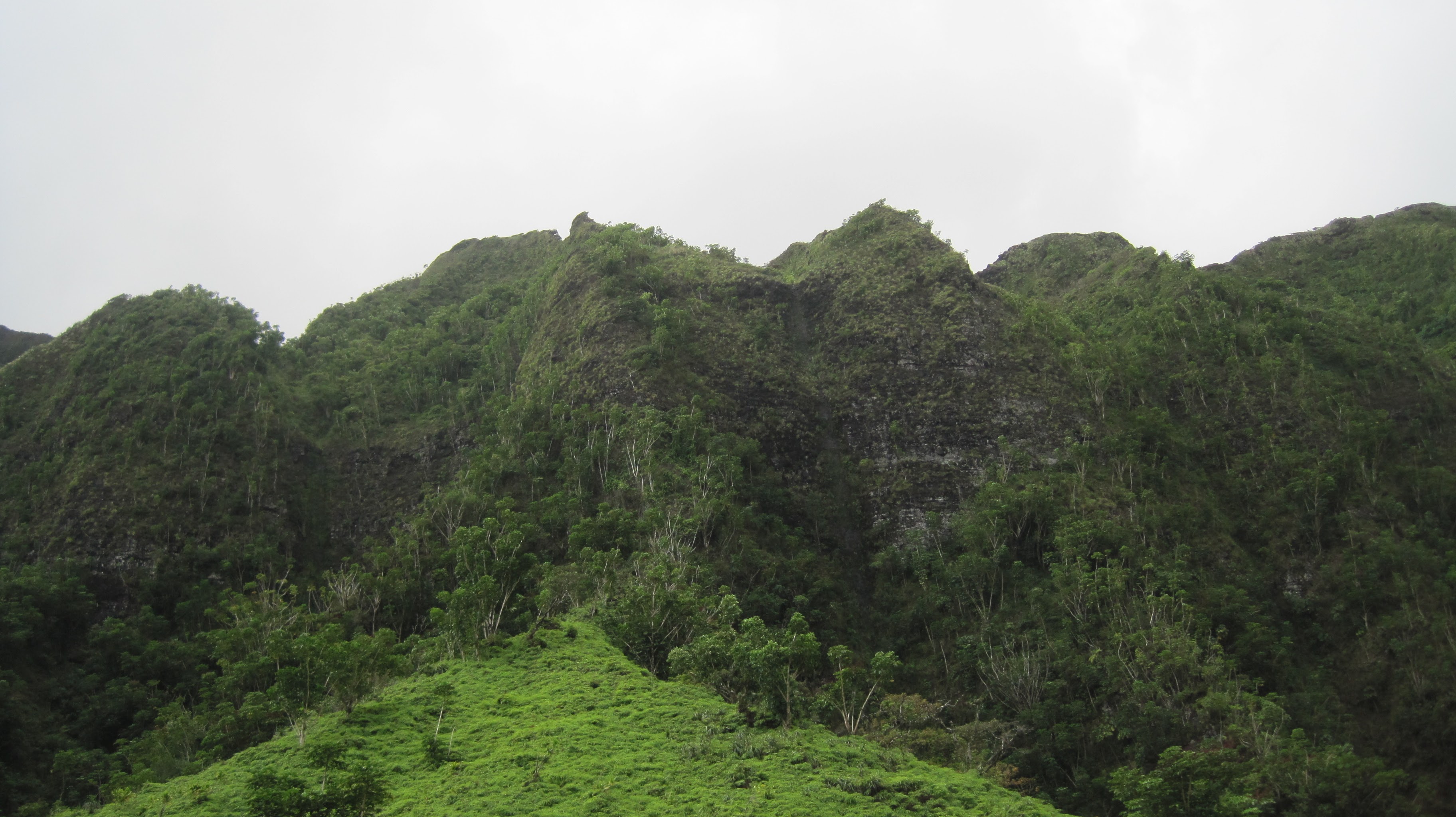 Lush green Ko'olau mountains on Oahu